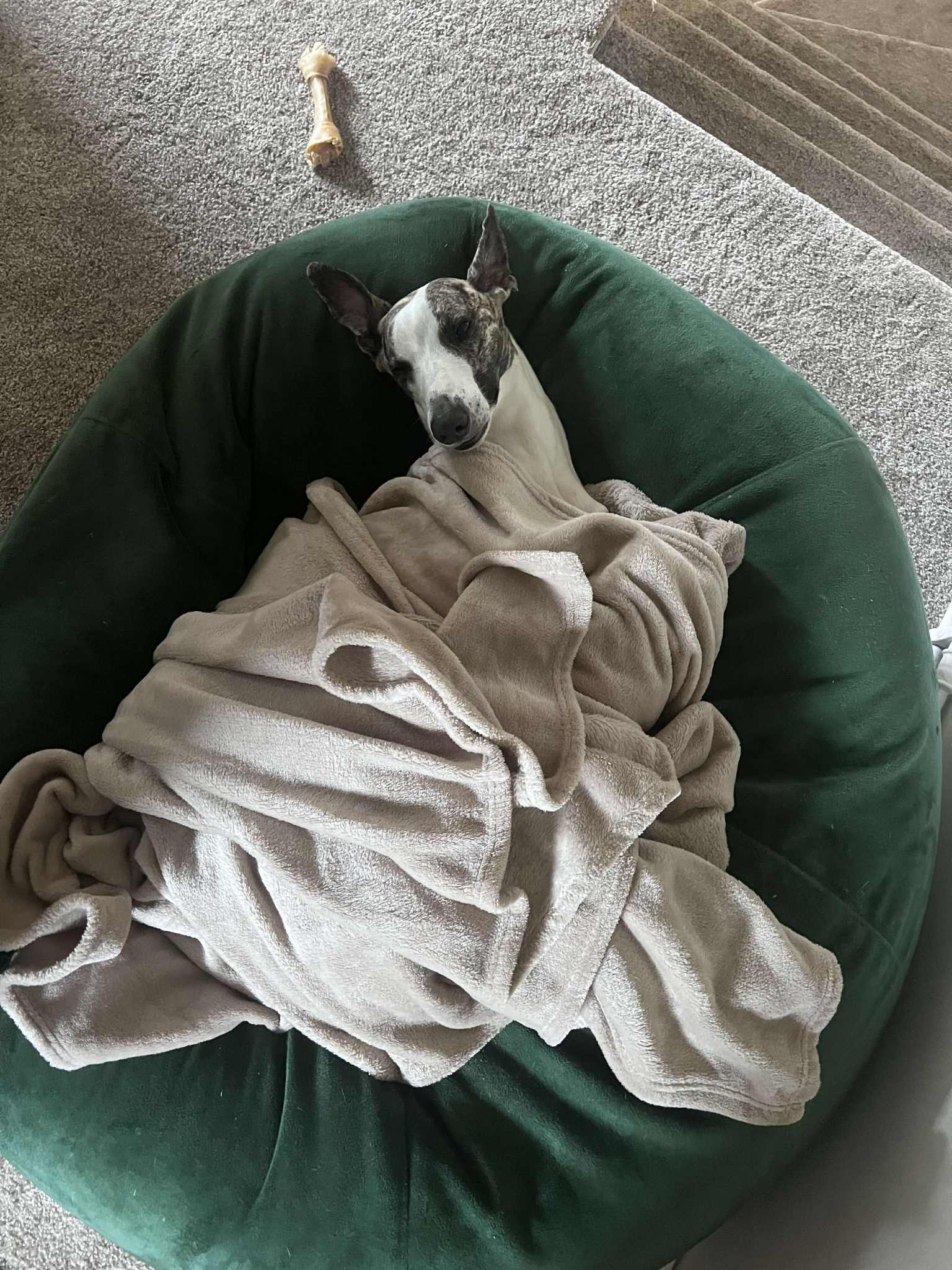 Pössun hjá passara